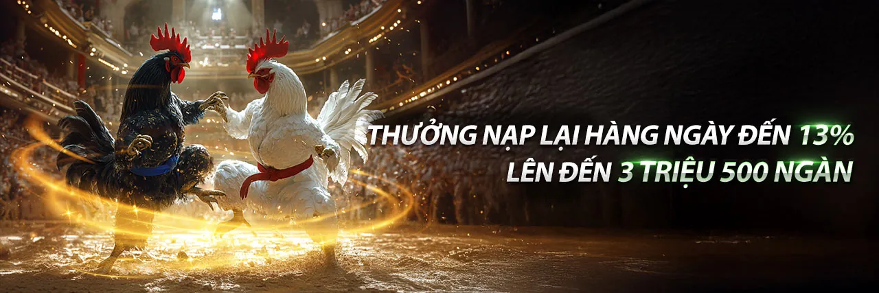 Cá cược Thể Thao EV99